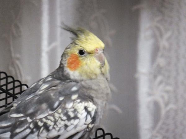 DSCF2655.jpg