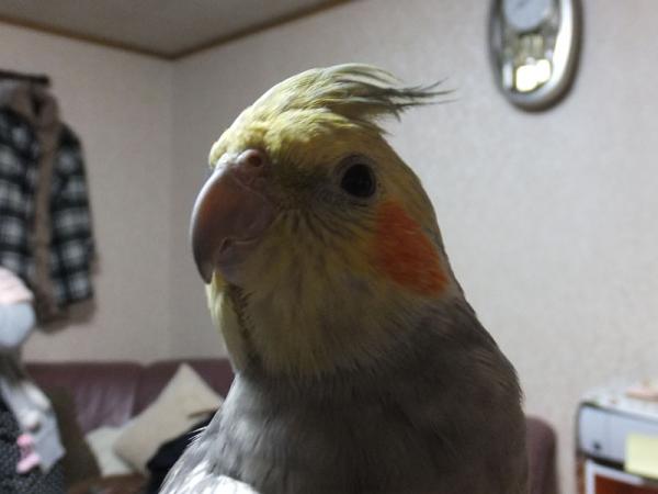 DSCF2656.jpg
