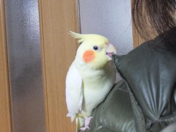 DSCF2657.jpg