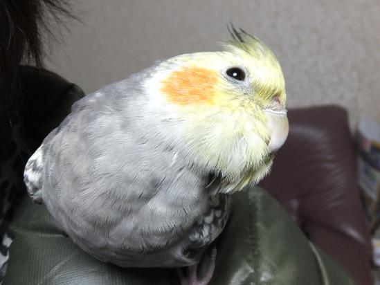 DSCF2711.jpg
