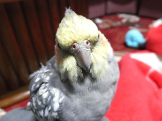 DSCF2744.jpg