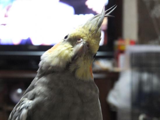 DSCF2791.jpg