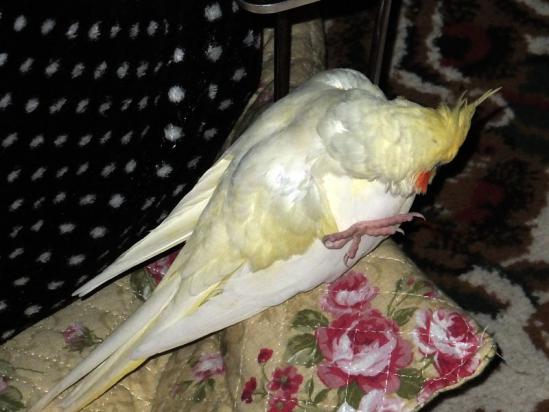 DSCF2843.jpg