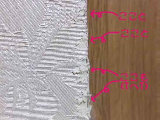DSCF2863.jpg