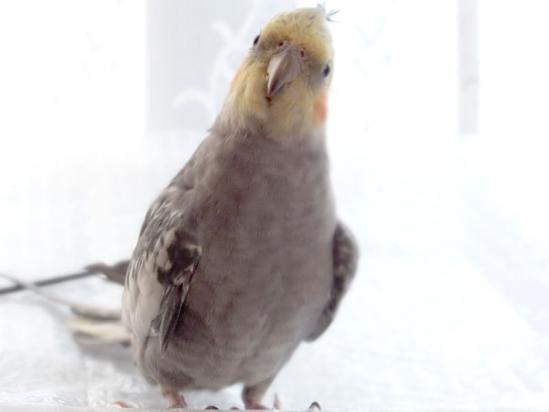 DSCF2878.jpg