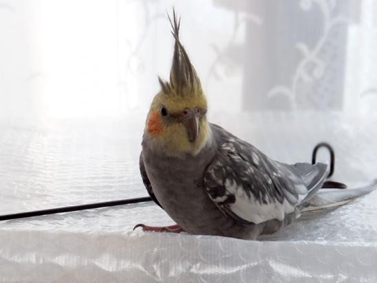 DSCF2880.jpg