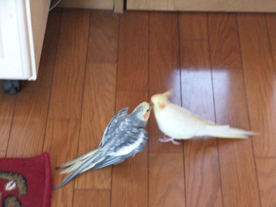 DSCF2922.jpg