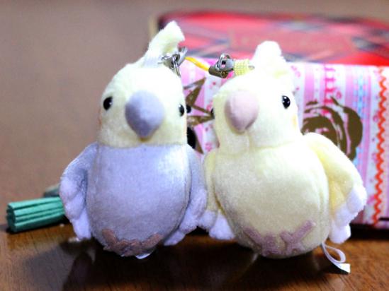 なんでオカメインコ?