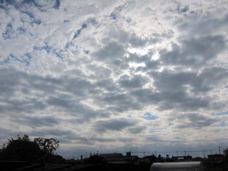 IMG_4938.jpg