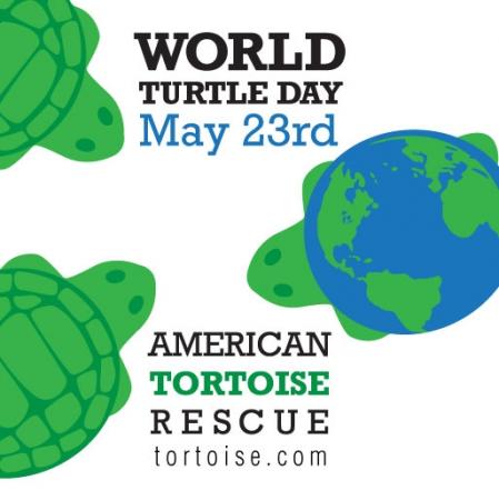 worldturtle7.jpg