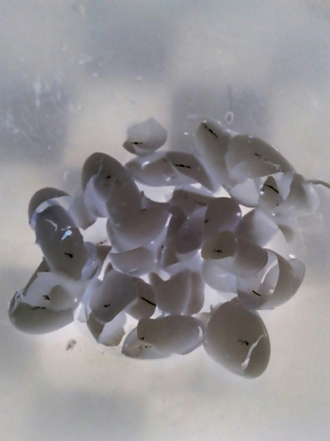 2013-06-01-21-26-54_deco.jpg