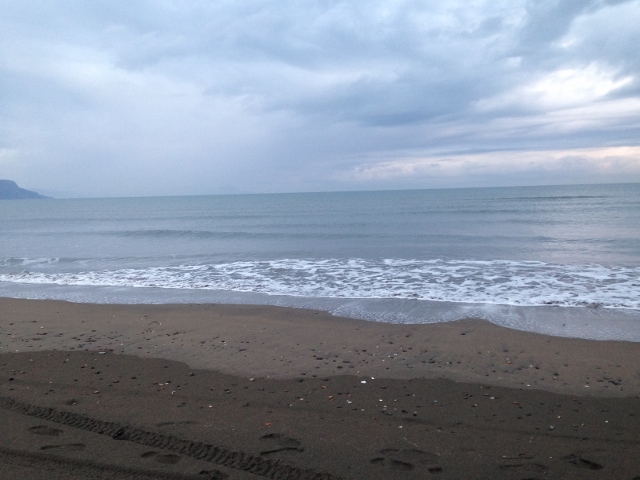 IMG_1317 (640x480)