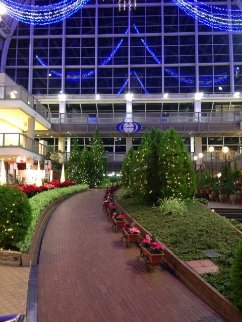 IMG_1330 (480x640)