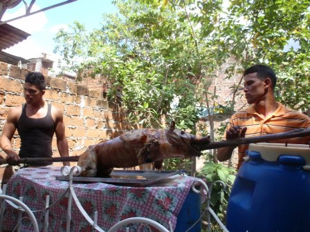puerco.jpg