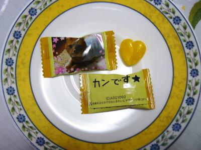 RIMG0020_convert_20120529135323.jpg