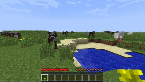 Minecraft