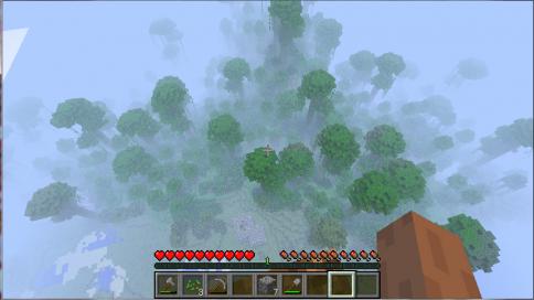 Minecraft