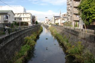 今井橋より下流を望む