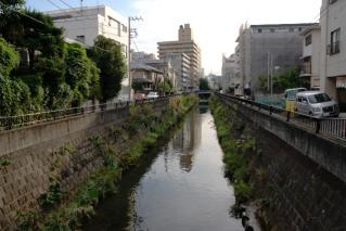 今井橋より上流を望む
