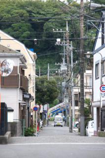 保土ヶ谷道付近の海岸段丘の絶壁(2)