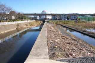 平戸永谷川遊水地の越流堤