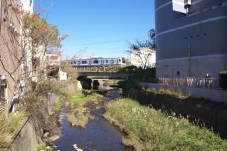 浦賀道(鎌倉):延命寺橋より滑川上流を望む