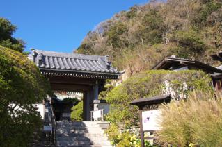 浦賀道(鎌倉):安養院