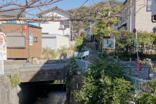 浦賀道(鎌倉):県道より逆川上流を望む