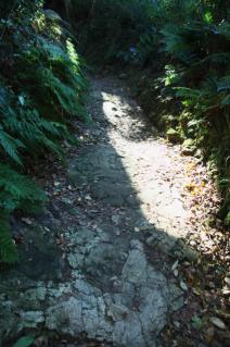 浦賀道(鎌倉):名越第一切通途上の道
