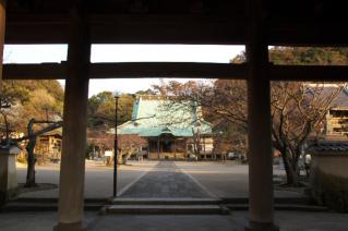 鎌倉・光明寺山門より本堂を望む