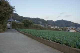 浦賀道(戸塚):上山口の浦賀道風景