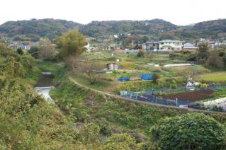浦賀道(戸塚):栗坪付近の風景-2
