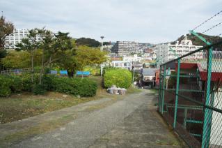 浦賀道(戸塚):平作公園上から-1