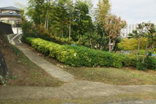 浦賀道(戸塚):平作公園上から-2