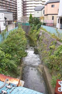 浦賀道(戸塚):宇東川