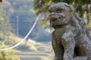 上山口・杉山神社:阿の狛犬と棚田