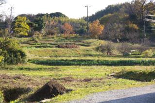 浦賀道(戸塚):木古庭の町民農園を県道から見る