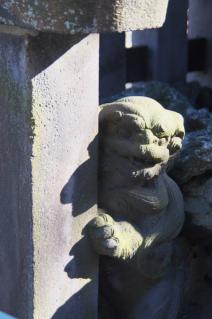 浦賀:西叶神社・玉垣の陰の狛犬