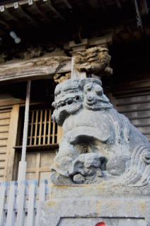浦賀:為朝神社の狛犬