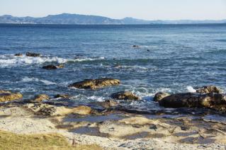 浦賀:燈明崎前の岩礁-1