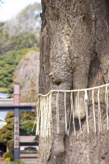 藤沢・遊行寺:大銀杏と書院の冠木門