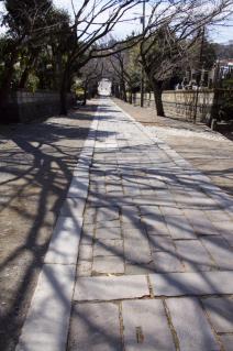 藤沢・遊行寺:いろは坂の上から