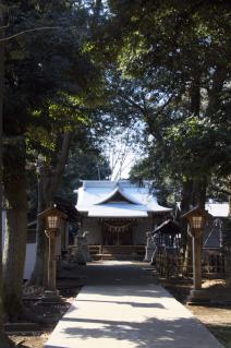 橋本・神明大神宮:参道より拝殿