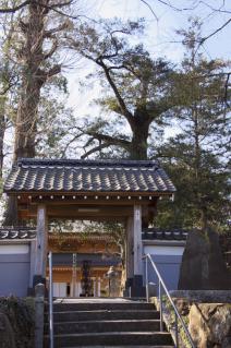 橋本・瑞光寺山門