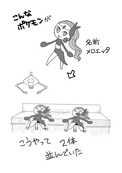 メロエッタ取りたい父