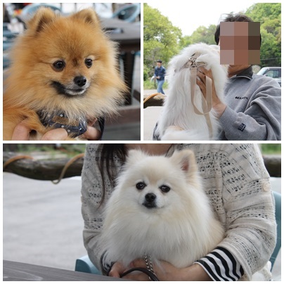 201305041.jpg