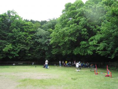 IMG_3616_convert_20120526141944.jpg