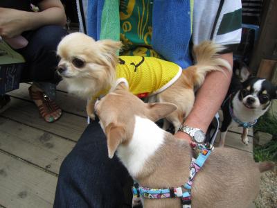 IMG_3627_convert_20120526142201.jpg