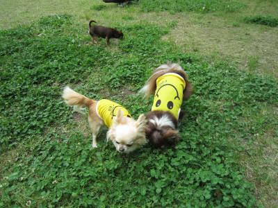 IMG_3666_convert_20120526142451.jpg