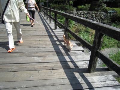 IMG_4320_convert_20120813132722.jpg